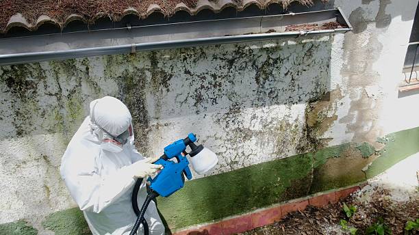 Trusted Mold Remediation service in Fannettsburg, PA - Cheap Mold Removal
